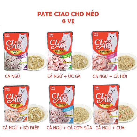 Pate CIAO cho mèo, pate mèo CIAO gói 60gr đủ 6 vị mlem