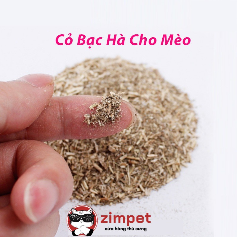 Cỏ bạc hà, CATNIP cho mèo thư giãn dạng ống