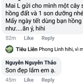 [Masa] Son màu handmade chùm ngây MoriS (8 màu tùy chọn)