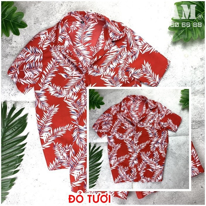 {ẢNH THẬT} Bộ Đồ Đi Biển Cho Cặp Đôi, Đội Nhóm, Công Ty, Gia Đình, Bộ Đi Biển Đẹp Năm 2021 | BigBuy360 - bigbuy360.vn