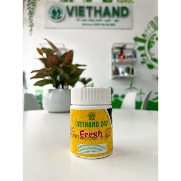 Men Vi Sinh Cho Cá Cảnh VIETHAND247 FRESH/Nước trong, cá khỏe/Giảm mùi hôi tanh/4-5 tháng không phải thay nước 50g