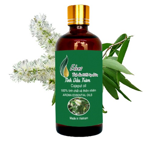 Tinh dầu Tràm Gió Cho Bé Cao Cấp 100ml - 100% Tự Nhiên Nguyên Chất, Tinh Dầu Xông Phòng Chống Cảm Cúm, Ho, Sổ Mũi