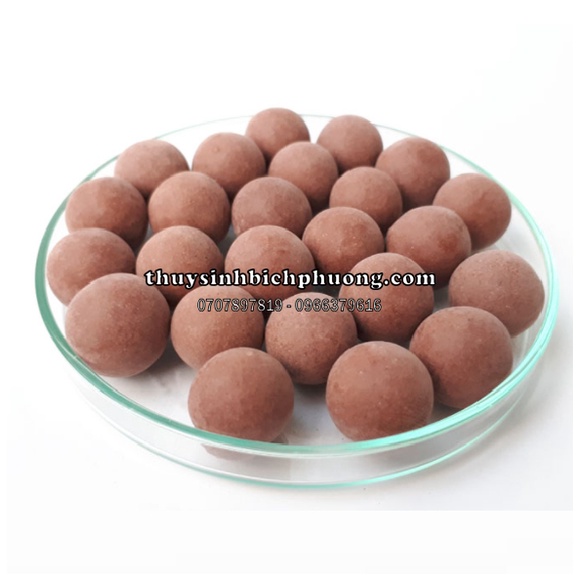 KHOÁNG SINH SẢN CHO TÉP KIỂNG | 32 VIÊN - BEEBALL