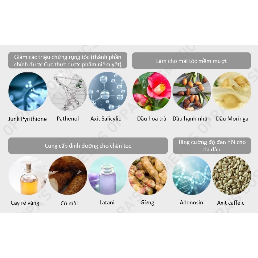 Dầu gội đầu DR.FORHAIR FOLLIGEN 500ml