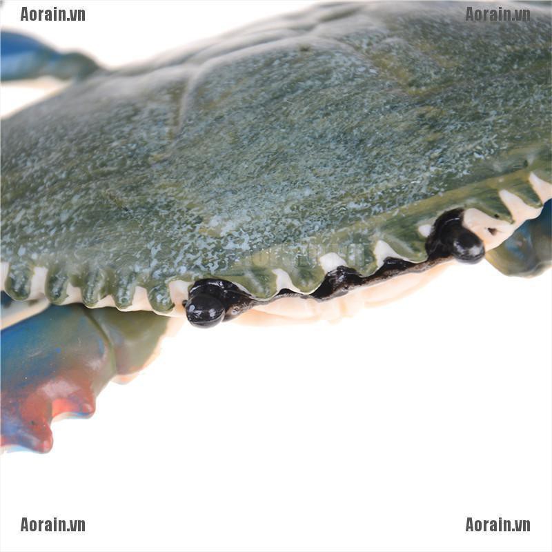 Mô Hình Đồ Chơi Cua Biển Độc Đáo