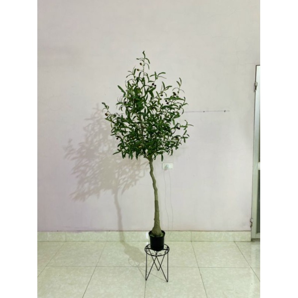cành lá oliu giả -6 nhánh - 10 nhánh  trang trí sự kiện - làm cây giả- cắm lọ hoa để bàn