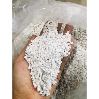 Đá Perlite [100gram]