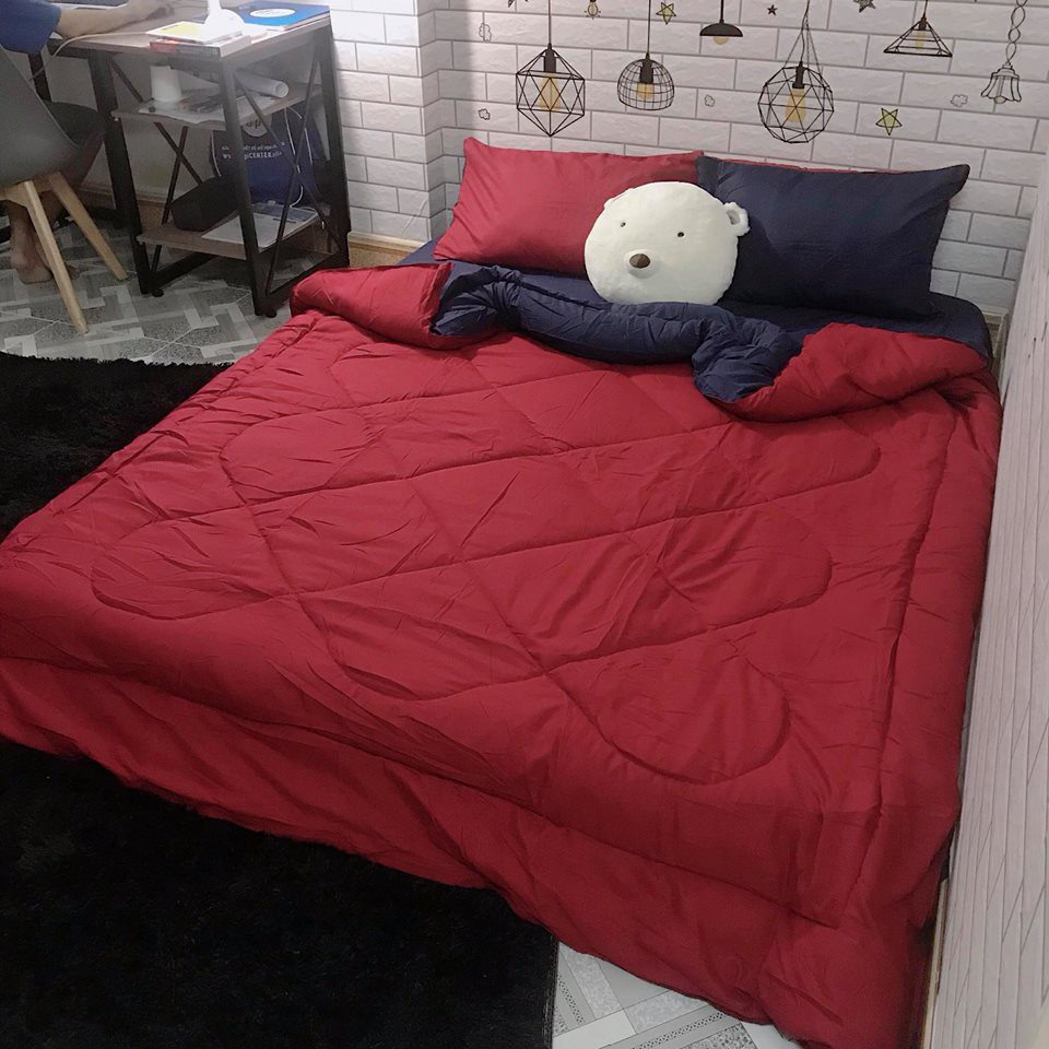 Bộ Drap Giường [Hình Thật] Chần Bông Trơn 2 Màu Đỏ Xanh Cotton M6*2M-M8*2M