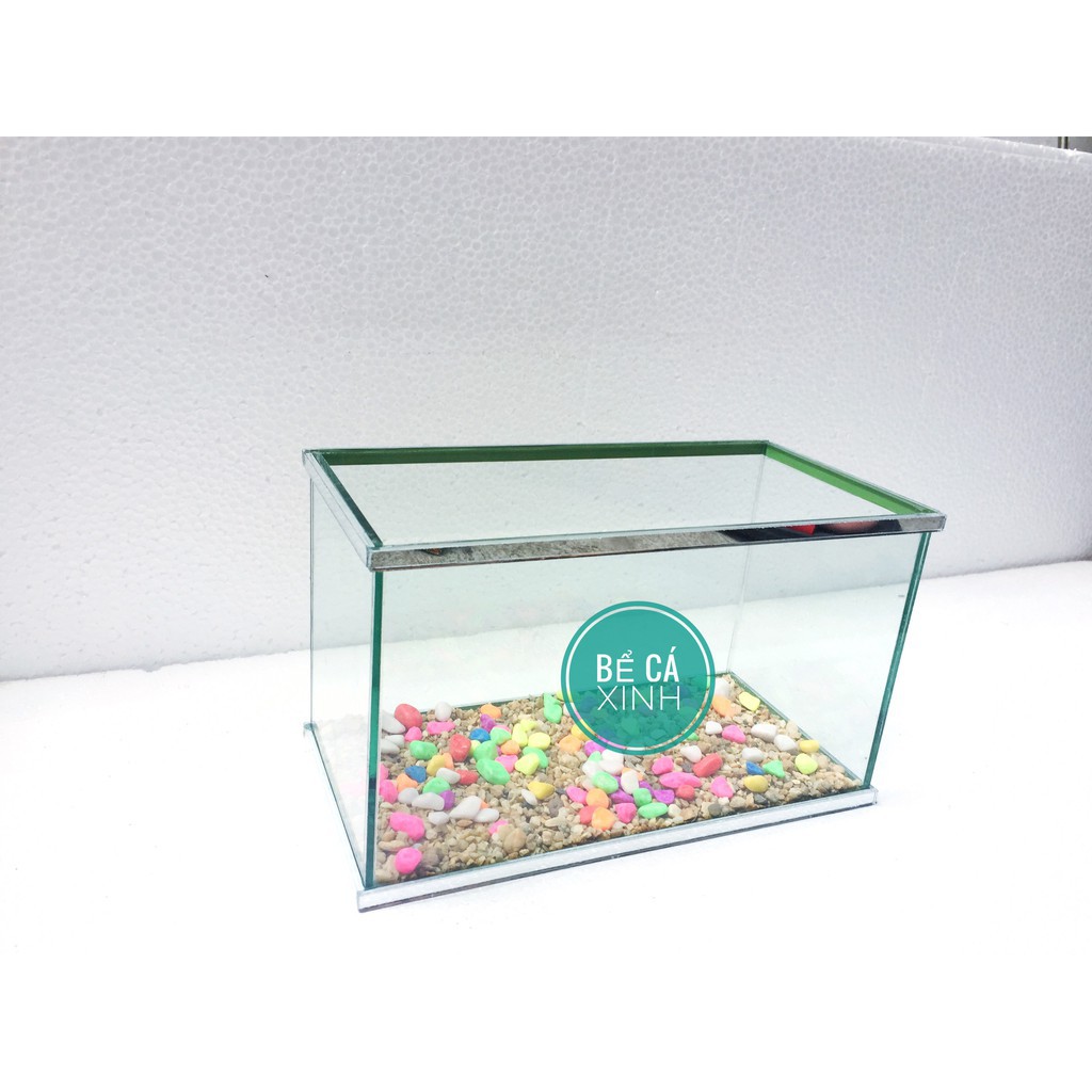 🐬 🐬Bể cá cảnh- Bể mini  25*13*15cm kèm dán viền gương( tặng free thức ăn cá , cây nhựa ,sỏi)