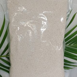 Nếp Cái Hoa Vàng