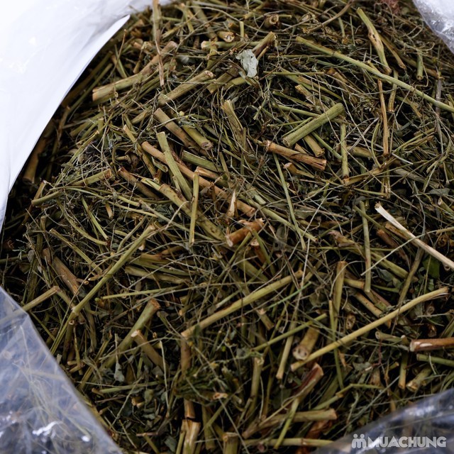 Diệp Hạ Châu Khô ( Chó đẻ răng cưa) 1kg