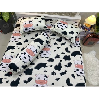 Drap thun hàn quốc bò sữa