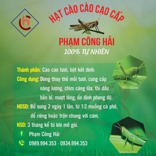 HẠT CÀO CÀO THAY THẾ MỒI TƯƠI 100gram