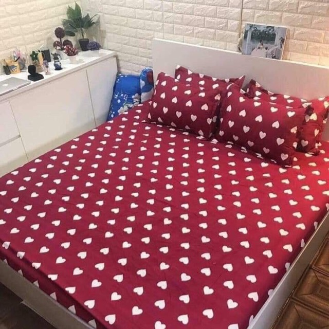 Sét ga gối poly