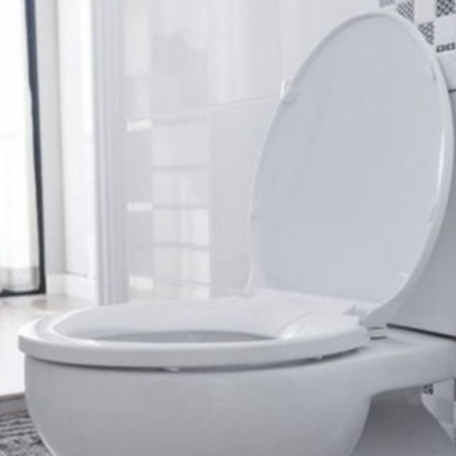 Nắp bồn cầu êm , nắp bồn cầu rẻ, toilet lid