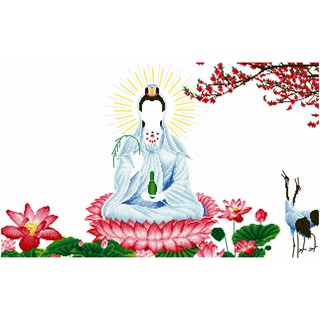 Tranh đính đá Phật bà VS335 - chưa đính