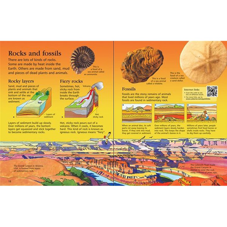 Sách - Anh: The Usborne Children's Encyclopedia (new edition)
