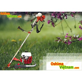 Máy cắt cỏ Oshima 328