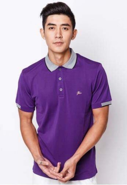 Áo thun nam thương hiệu Colo cổ dệt chất vải Spandex | BigBuy360 - bigbuy360.vn
