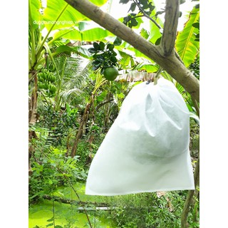 COMBO 100 TÚI 30X35CM CÓ DÂY RÚT TÚI BỌC TRÁI BƯỞI, MÍT, SẦU RIÊNG