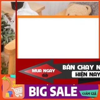áo cho pét ngỗ nghĩnh - tuyetlan