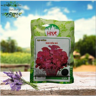 Hạt Giống Rau Dền Đỏ HNX 50gr