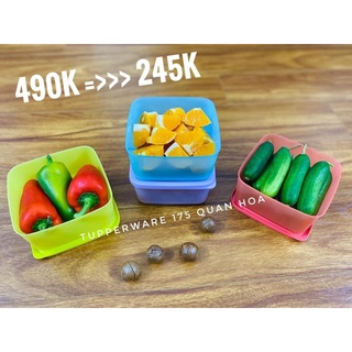 Hộp bảo quản thực phẩm Tupperware Small Summer Fresh