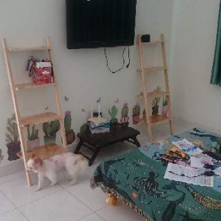 Kệ Hoa kiểu cầu thang gỗ