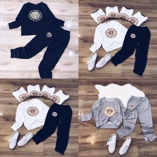 Bộ cotton da cá đủ sz sml