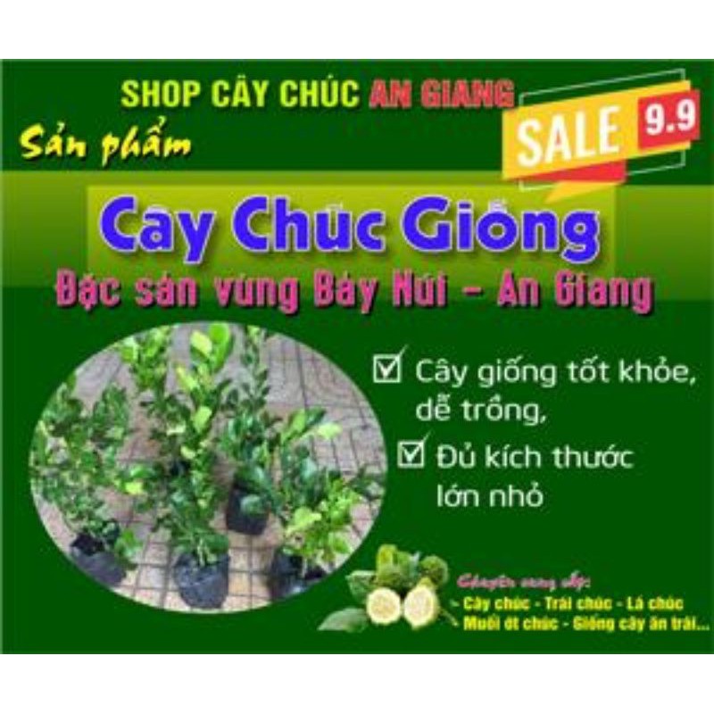 Phân dơi nguyên thủy. Một kg 90k