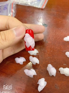 Hoa bột nail