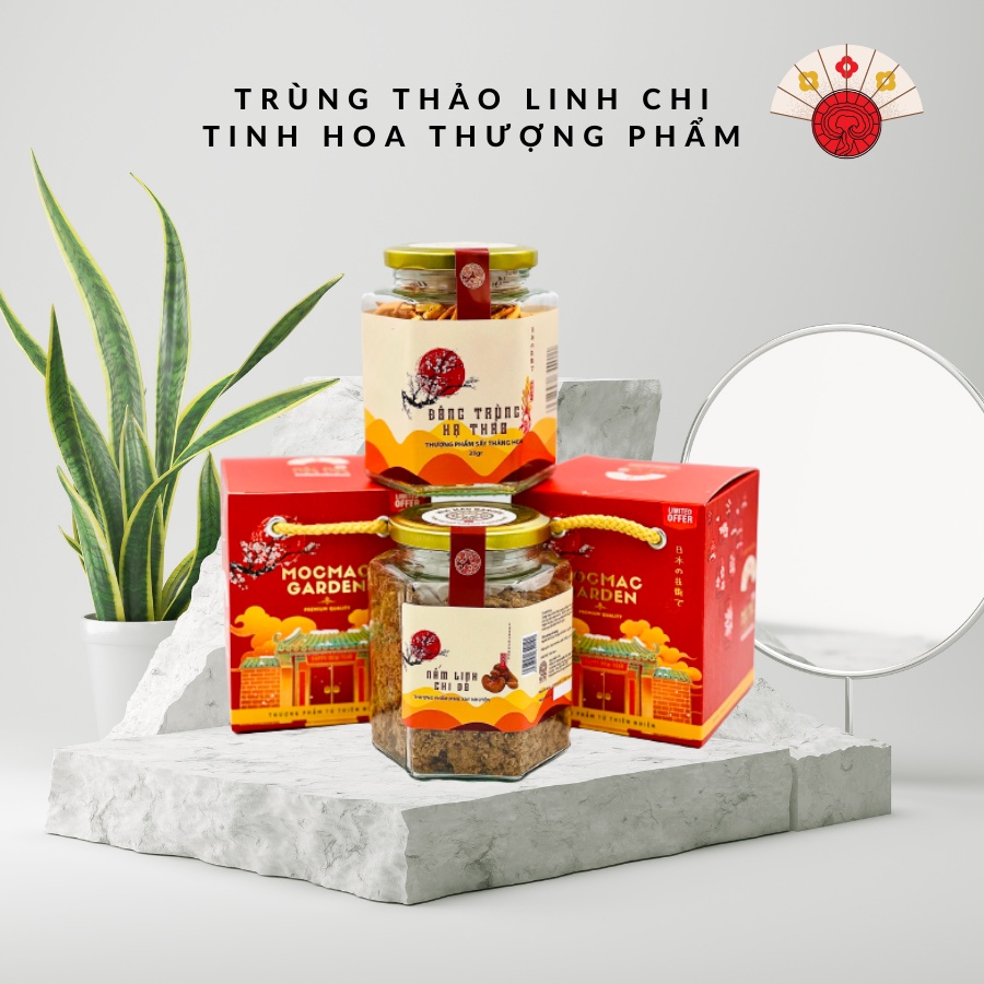 Combo 25gr Đông Trùng Hạ Thảo Sấy & 30gr Nấm Linh Chi Xay
