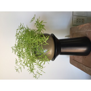 Đôn để chậu mini gốm sứ nam bộ hàng xuất khẩu