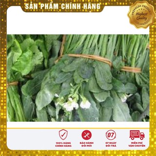 Hạt Giống Cải Làn Mập