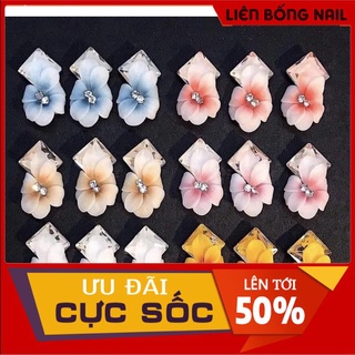 Hoa thược dược ôm đá