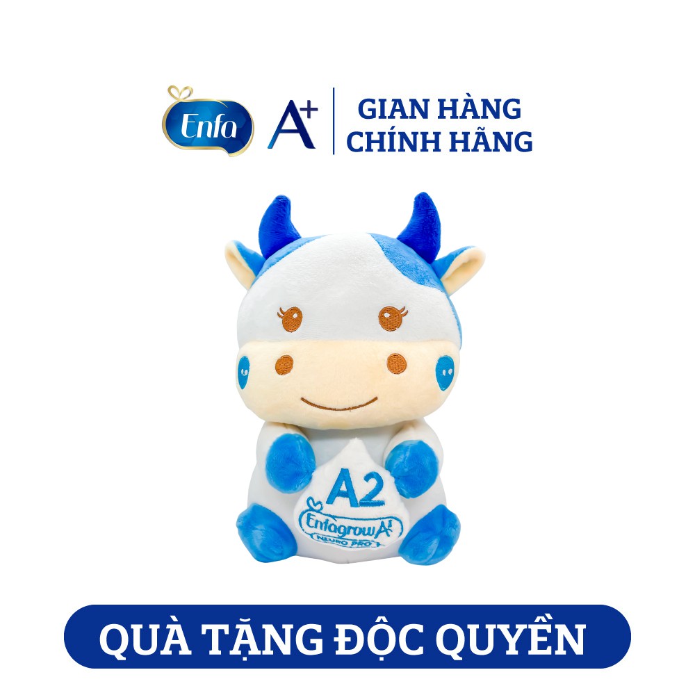 [MKB Gift] Hộp quà gấu bông Enfa