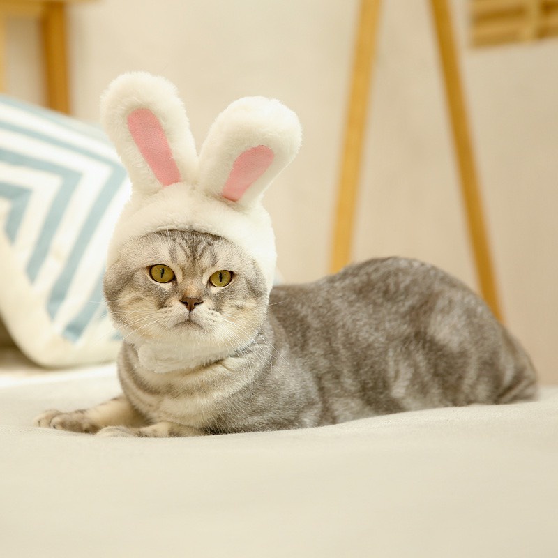 Mũ cho thú cưng tai thỏ đáng yêu nhiều màu sắc - Nón cho chó mèo