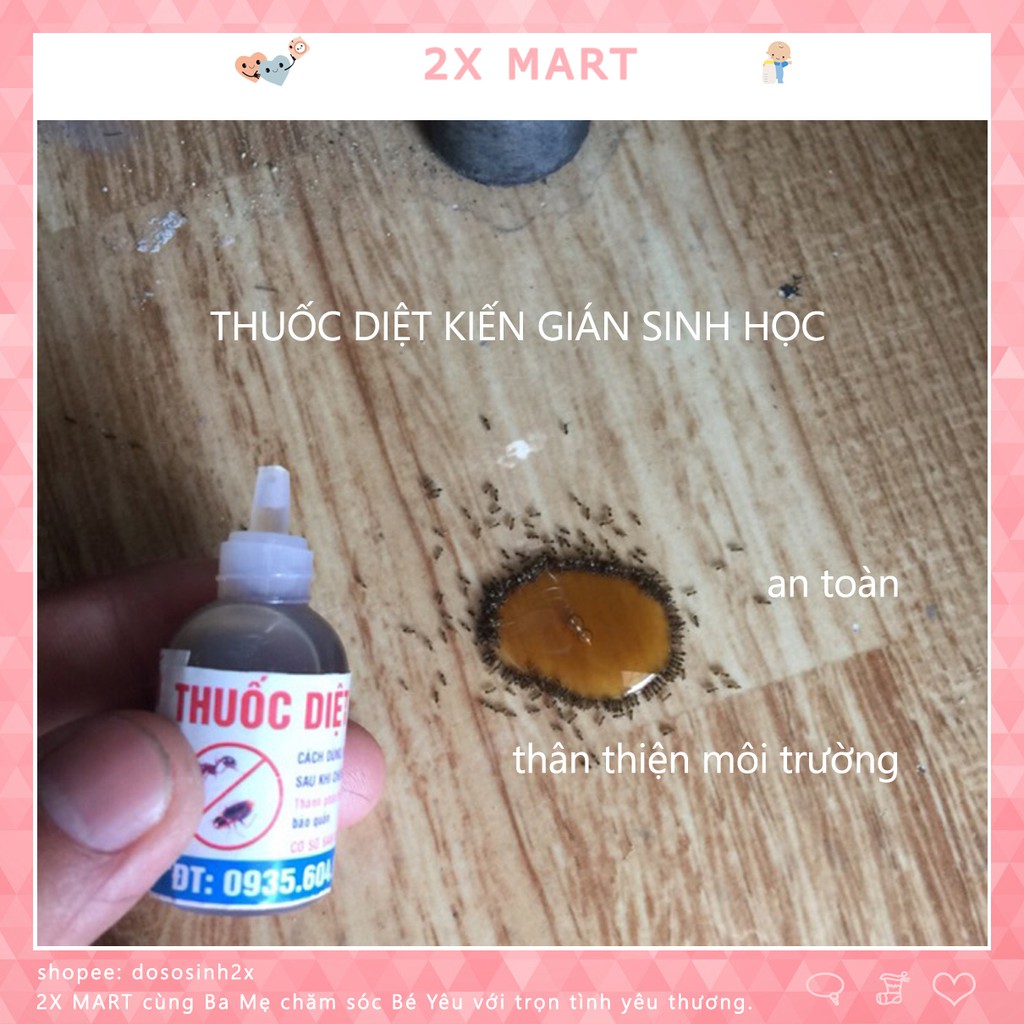 Thuốc diệt kiến gián tận gốc sinh học. an toàn thân thiện môi trường - 2X MART