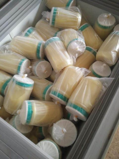 Sữa ong chúa tươi nguyên chất lọ 100g