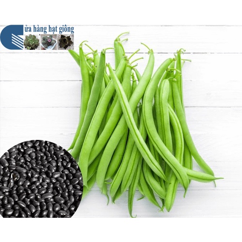 Hạt Giống Đậu Cove Leo Hạt Đen - SL: 20 GRAM