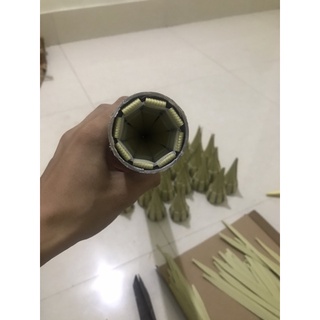 combo 10 hom lươn 60