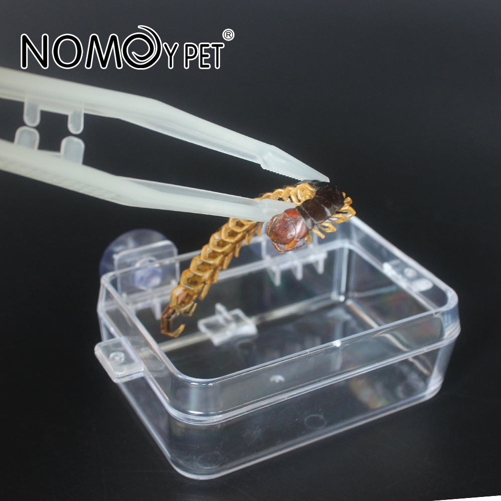Nhíp gắp thức ăn, kẹp gắp thức ăn đầu cong cho bò sát 18cm