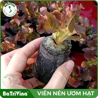 Thùng 1000 Viên nén ươm hạt BATRIVINA