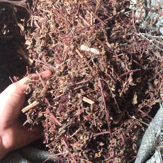 hương nhu tím (500gram)