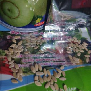Hạt giống DƯA LÊ SIÊU NGỌT, SAI QUẢ (lẻ 4,2k 8hạt)
