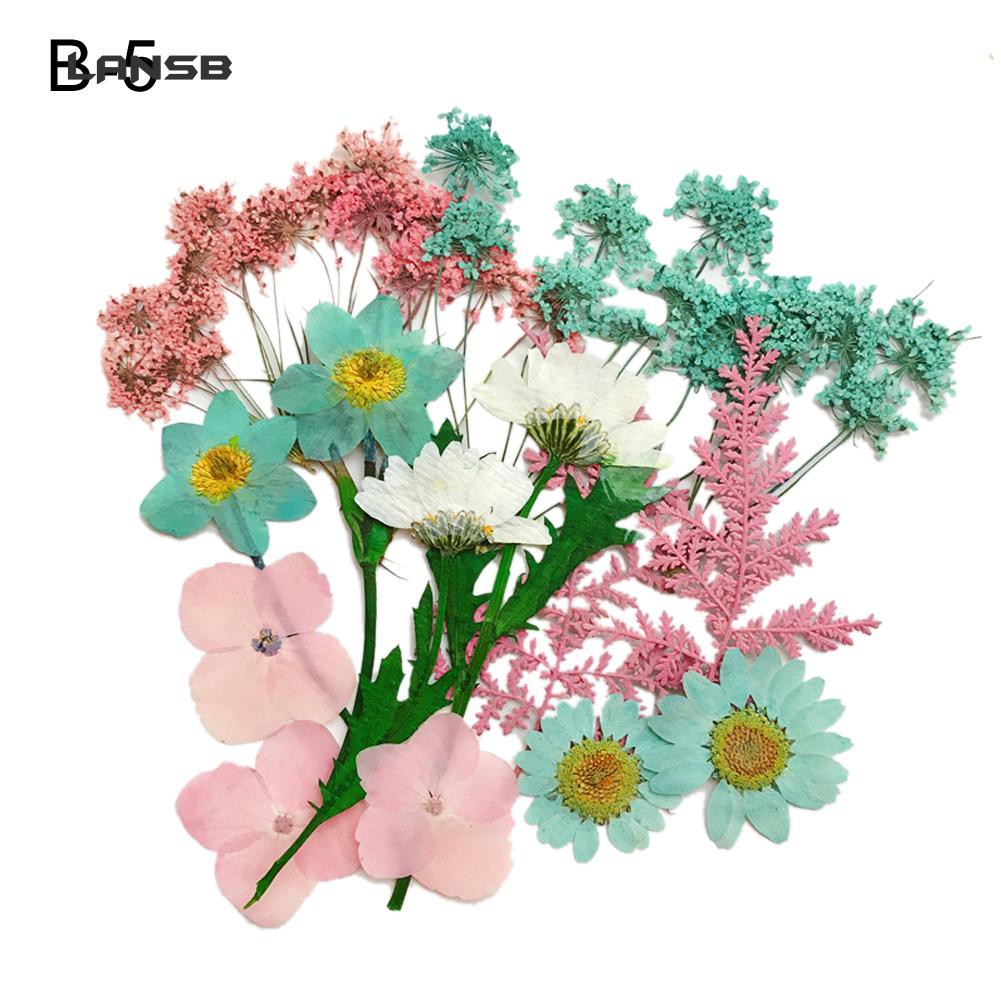 Hoa khô ép hỗn hợp dùng cho trang trí album DIY