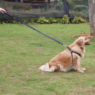 Dog rope✒Dây xích cho chó Teddy mèo Cún con vừa và nhỏ đi bộ đeo ngực Đồ dùng thú cưng Vòng cổ