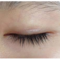 ⛔FREESHIPP⛔ Tinh dầu dừa dưỡng mi nguyên chất | BigBuy360 - bigbuy360.vn