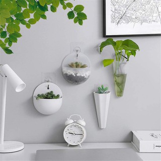 Chậu Nhựa Trồng Cây Treo Tường Hình Tròn, Chậu Cây Treo Tường Trang Trí Nhà Cửa