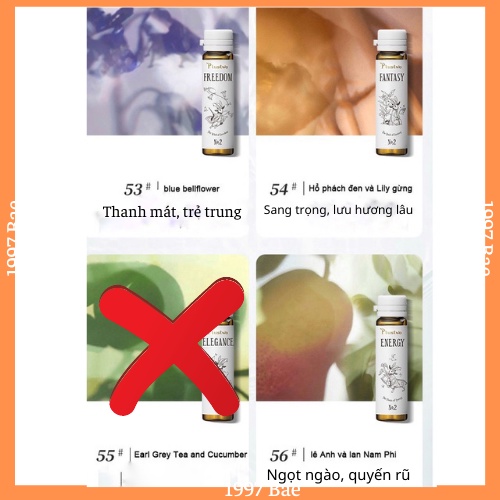 [Sẵn]Sữa tắm/Lotion dưỡng thể Plus Two thơm nước hoa lưu hương bền lâu | BigBuy360 - bigbuy360.vn